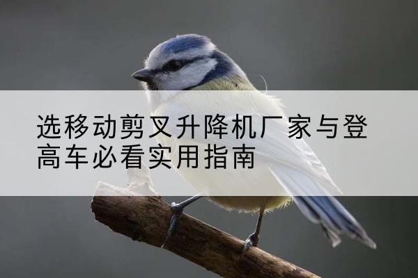 义乌电动升降机厂家-选移动剪叉升降机厂家与登高车必看实用指南