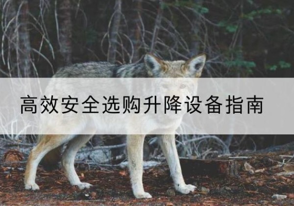 义乌升降货梯厂家推荐-*安全选购升降设备指南